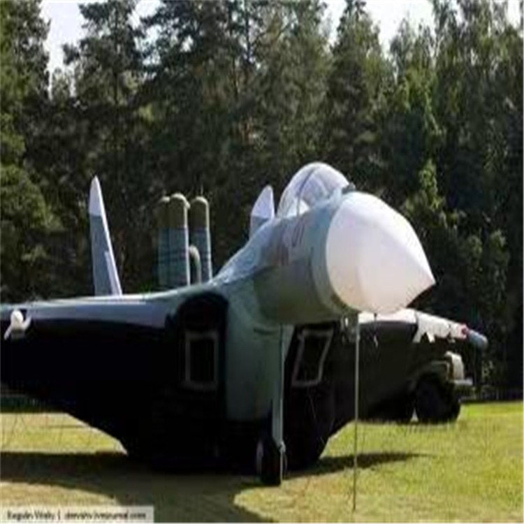 克拉玛依充气模型飞机制造商家